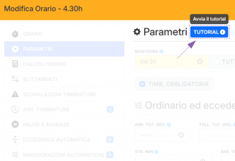 2025-01-31- tutorial-orario